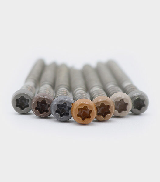 Composite Colored Deck Screws Pack 100
