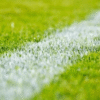 Scoring-the-Best-Sports-Field-Turf-Variety